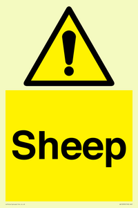 WV12090: Sheep