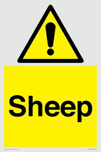 WV12090: Sheep