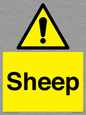 WV12090: Sheep