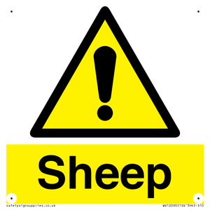 WV12090: Sheep