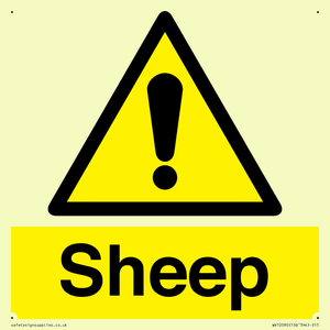 WV12090: Sheep