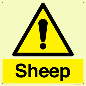 WV12090: Sheep