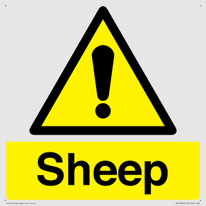 WV12090: Sheep