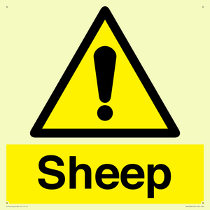 WV12090: Sheep