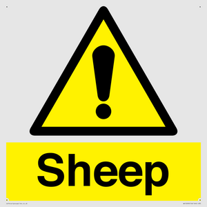 WV12090: Sheep