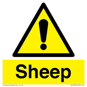 WV12090: Sheep