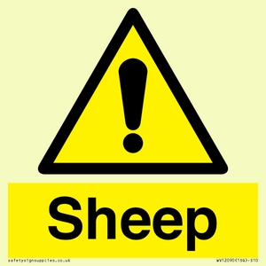 WV12090: Sheep