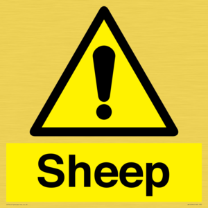 WV12090: Sheep