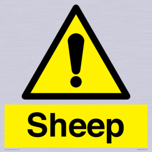WV12090: Sheep