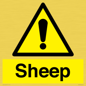 WV12090: Sheep