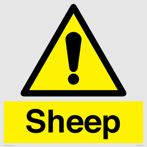 WV12090: Sheep