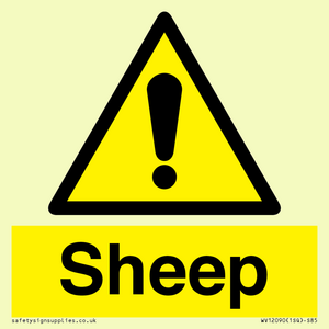 WV12090: Sheep