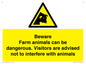 WV12116: Beware Farm animals can be dangerous. Visitors are advised not to interfere with animals
