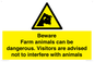 WV12116: Beware Farm animals can be dangerous. Visitors are advised not to interfere with animals