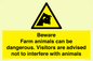 WV12116: Beware Farm animals can be dangerous. Visitors are advised not to interfere with animals