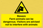 WV12116: Beware Farm animals can be dangerous. Visitors are advised not to interfere with animals