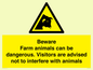 WV12116: Beware Farm animals can be dangerous. Visitors are advised not to interfere with animals