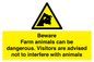 WV12116: Beware Farm animals can be dangerous. Visitors are advised not to interfere with animals