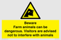 WV12116: Beware Farm animals can be dangerous. Visitors are advised not to interfere with animals