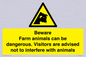 WV12116: Beware Farm animals can be dangerous. Visitors are advised not to interfere with animals