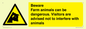 WV12116: Beware Farm animals can be dangerous. Visitors are advised not to interfere with animals