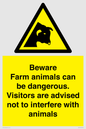 WV12116: Beware Farm animals can be dangerous. Visitors are advised not to interfere with animals
