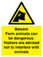 WV12116: Beware Farm animals can be dangerous. Visitors are advised not to interfere with animals