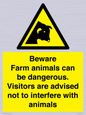 WV12116: Beware Farm animals can be dangerous. Visitors are advised not to interfere with animals