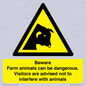 WV12116: Beware Farm animals can be dangerous. Visitors are advised not to interfere with animals