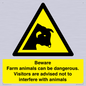WV12116: Beware Farm animals can be dangerous. Visitors are advised not to interfere with animals