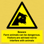 WV12116: Beware Farm animals can be dangerous. Visitors are advised not to interfere with animals