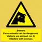 WV12116: Beware Farm animals can be dangerous. Visitors are advised not to interfere with animals