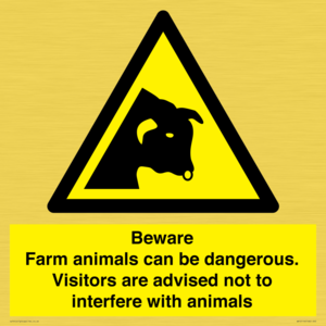 WV12116: Beware Farm animals can be dangerous. Visitors are advised not to interfere with animals