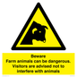 WV12116: Beware Farm animals can be dangerous. Visitors are advised not to interfere with animals