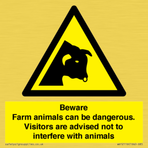 WV12116: Beware Farm animals can be dangerous. Visitors are advised not to interfere with animals