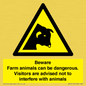 WV12116: Beware Farm animals can be dangerous. Visitors are advised not to interfere with animals