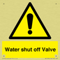 WV12394: Water shut off Valve