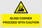 WV12433: BLIND CORNER PROCEED WITH CAUTION