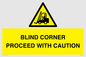 WV12433: BLIND CORNER PROCEED WITH CAUTION