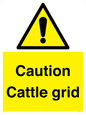WV12905: Caution Cattle grid
