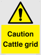 WV12905: Caution Cattle grid