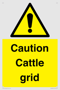 WV12905: Caution Cattle grid