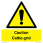 WV12905: Caution Cattle grid