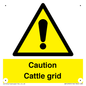 WV12905: Caution Cattle grid