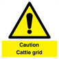 WV12905: Caution Cattle grid