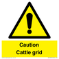 WV12905: Caution Cattle grid