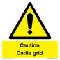 WV12905: Caution Cattle grid