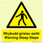 WV13054: Rhybudd grisiau serth Warning Steep Steps