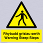 WV13054: Rhybudd grisiau serth Warning Steep Steps