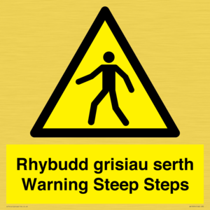 WV13054: Rhybudd grisiau serth Warning Steep Steps